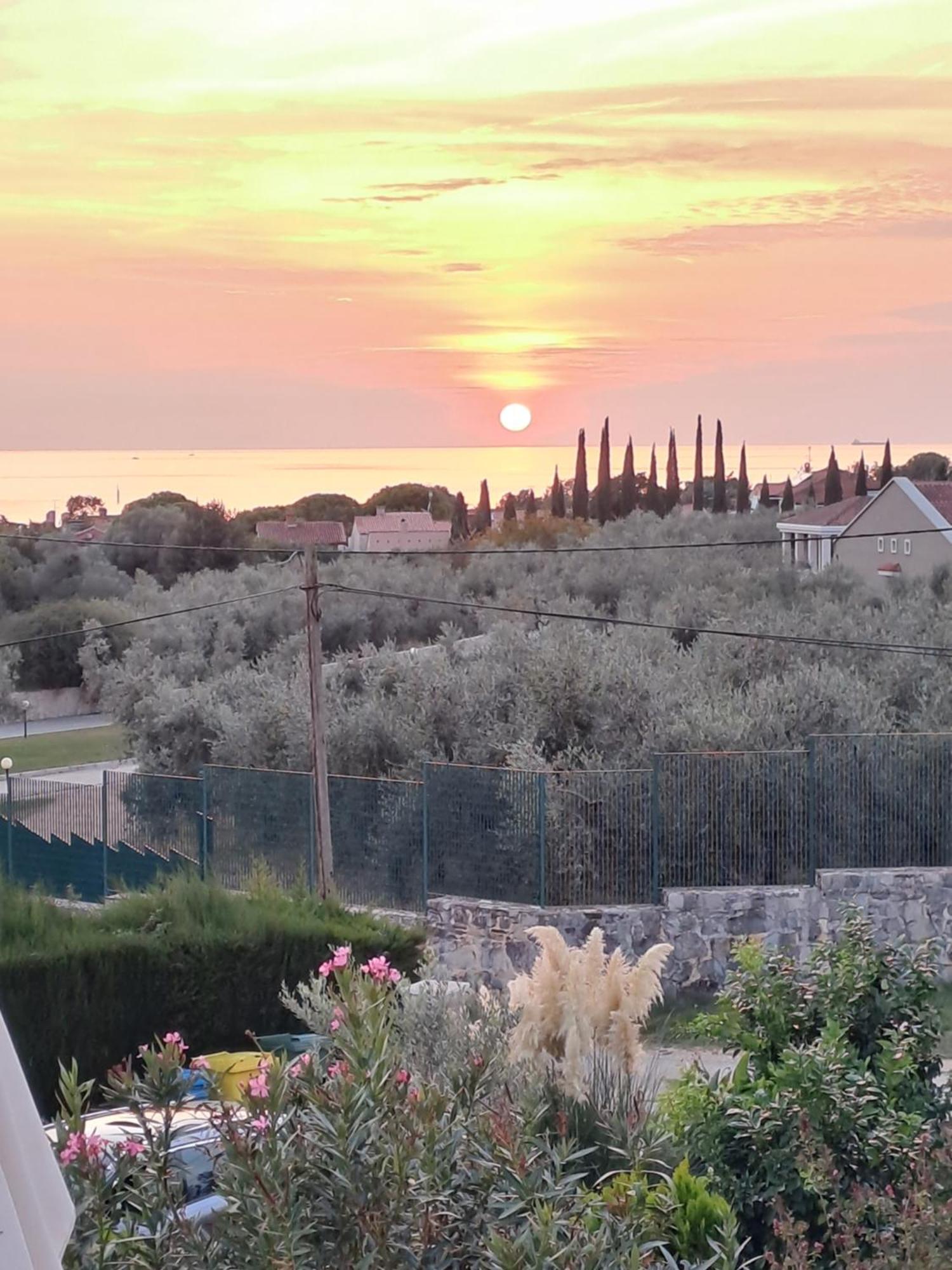 New Apartment Vivano Val With Amazing View Zambratija  Esterno foto